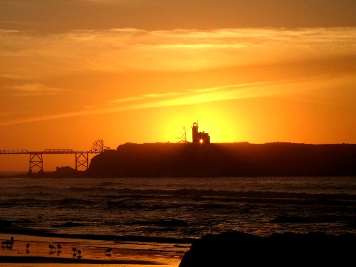 Hyssop Production still images